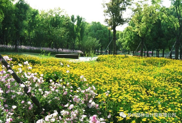 蘇州園林設計院榮獲2020(IFLA)AAPME杰出獎