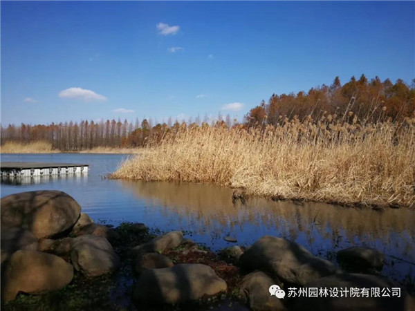 蘇州園林設計院榮獲2020(IFLA)AAPME杰出獎