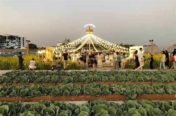 城市景觀的基礎設施打造療愈性城市