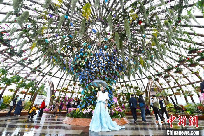 重慶啟幕第三屆城市花博會 線上線下迎花卉盛宴