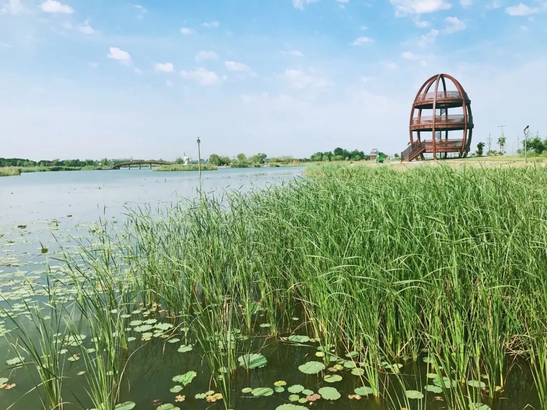 匯聚全球智慧促進(jìn)湖城發(fā)展 河北衡水打造永不落幕園博會