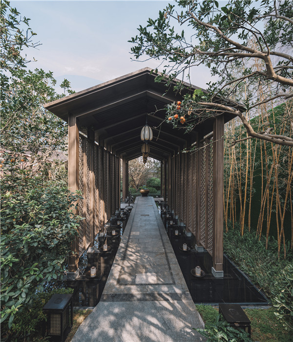 賽瑞景觀丨廈門建發?養云