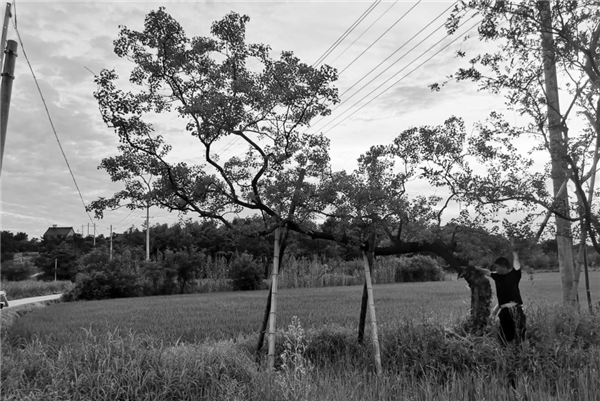 希爾景觀丨南昌力高國資·雍江府