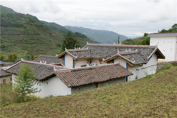 李沄璋:從研究走向設計