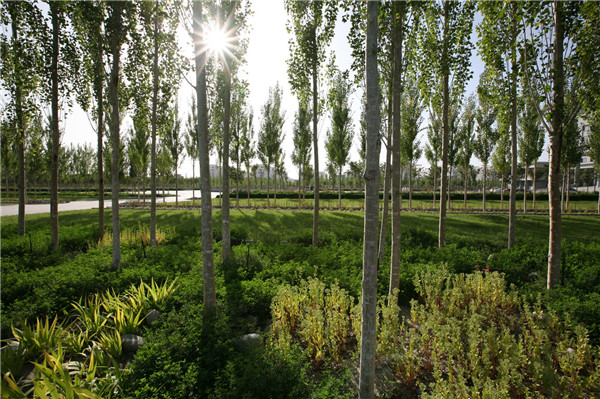 章俊華訪談:大地“衛士”