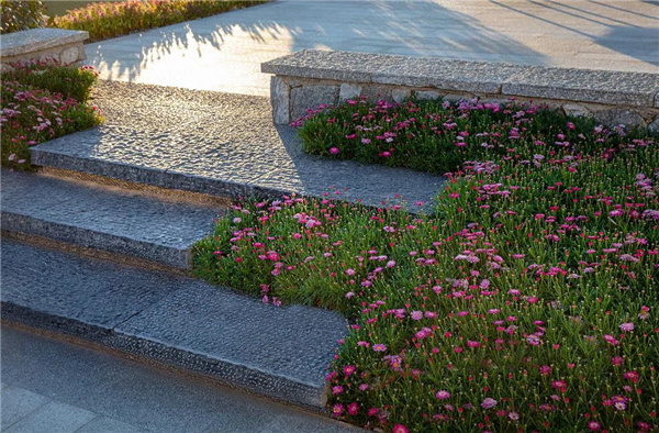 漫格景觀丨大理的小院子中區(qū)生活體驗中心