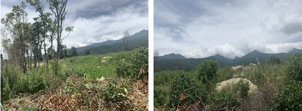 漫格景觀丨大理的小院子中區(qū)生活體驗中心