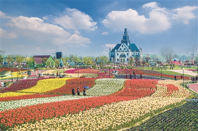 打造最美花海需要怎么做？