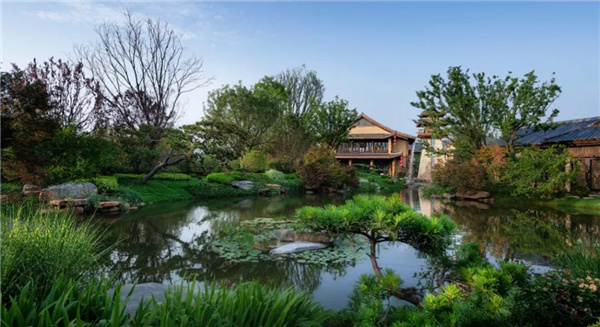 賽肯思：用創(chuàng)造力連接人與自然