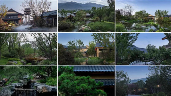 賽肯思：用創(chuàng)造力連接人與自然