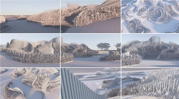 賽肯思：用創(chuàng)造力連接人與自然