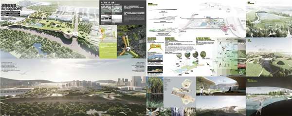 賽肯思：用創(chuàng)造力連接人與自然