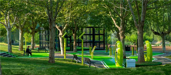 賽肯思：用創(chuàng)造力連接人與自然