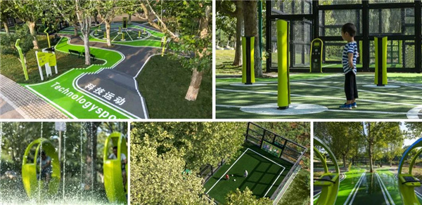 賽肯思：用創(chuàng)造力連接人與自然