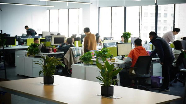 賽肯思：用創(chuàng)造力連接人與自然