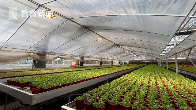 花博會：花卉進入育苗期 靜待五月齊綻放