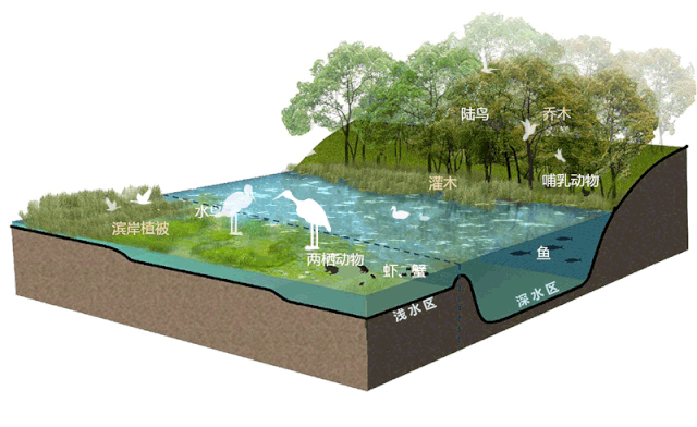 怡境景觀丨灃河濕地生態(tài)公園