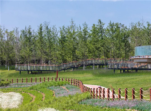 怡境景觀丨灃河濕地生態(tài)公園