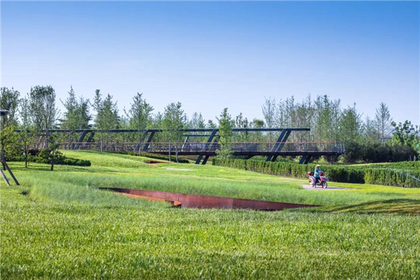 怡境景觀丨灃河濕地生態(tài)公園