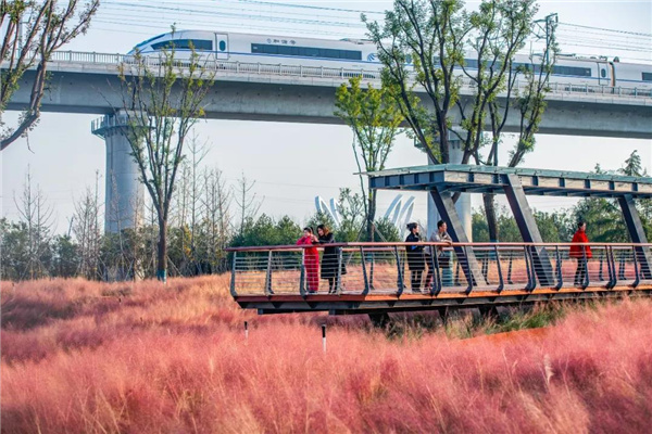 怡境景觀丨灃河濕地生態(tài)公園
