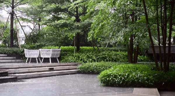 付凱：逆風前行，做有個性的設計