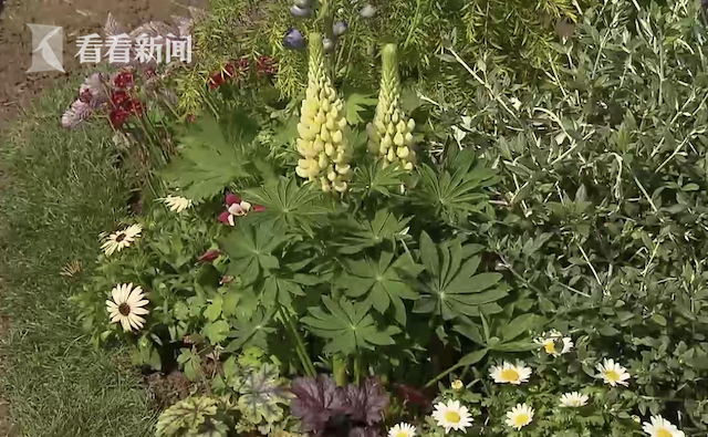 花博會將辦“市民花園”大賽