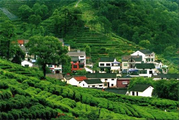 張建庭：杭州新西湖修復經驗