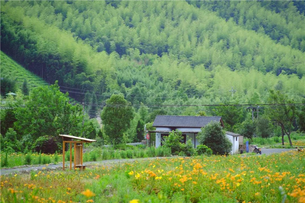 原筑景觀丨莫干山原舍懷谷酒店