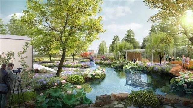 花博會內5000㎡“上海園”什么樣？