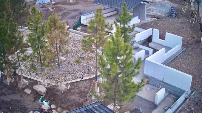 花博會內5000㎡“上海園”什么樣？