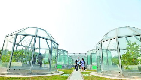 廈門大學"八閩園"開園 將建成國內一流大學植物園