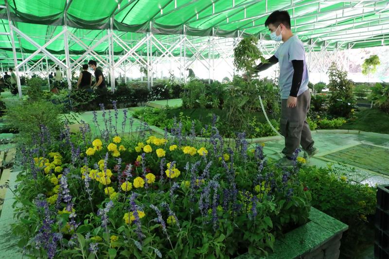 66名學(xué)生在深圳秀園藝“功夫” 4天讓沙地變花園 