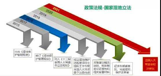 鮑達明:加強濕地保護,促進綠色發展