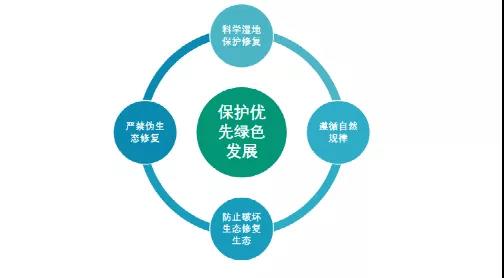 鮑達明:加強濕地保護,促進綠色發展