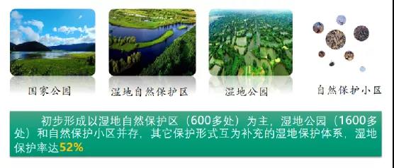 鮑達明:加強濕地保護,促進綠色發展