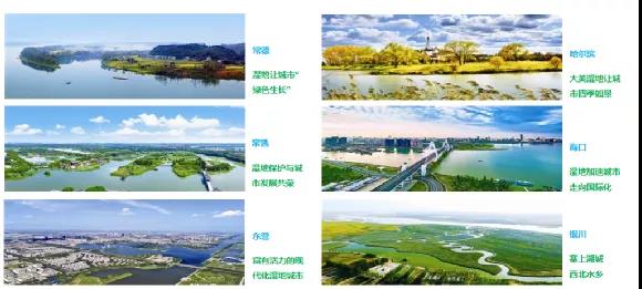 鮑達明:加強濕地保護,促進綠色發展