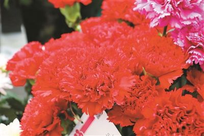 第二十三屆中國國際花卉園藝展覽會在上海舉辦