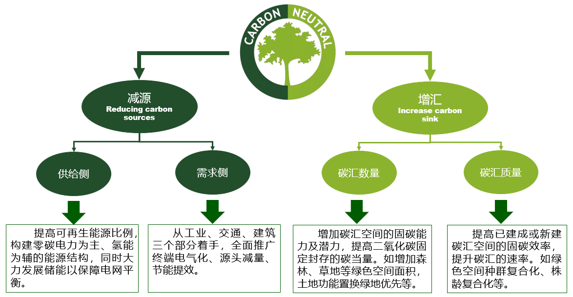 石鐵矛:“碳中和”導(dǎo)向下的城市綠地系統(tǒng)碳匯