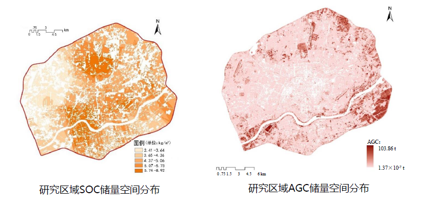 石鐵矛:“碳中和”導(dǎo)向下的城市綠地系統(tǒng)碳匯