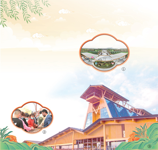 世界園藝博覽會首次落戶長三角地區 有何看點？