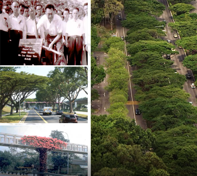 鄧國(guó)輝:邁向大自然中的城市