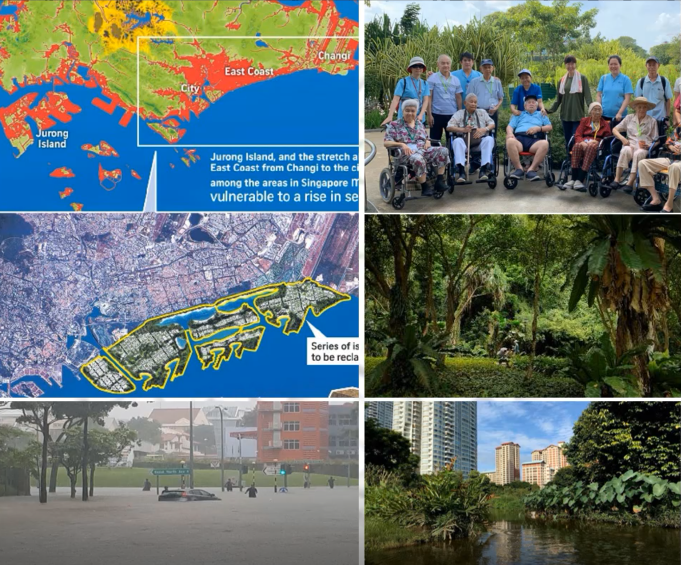 鄧國(guó)輝:邁向大自然中的城市