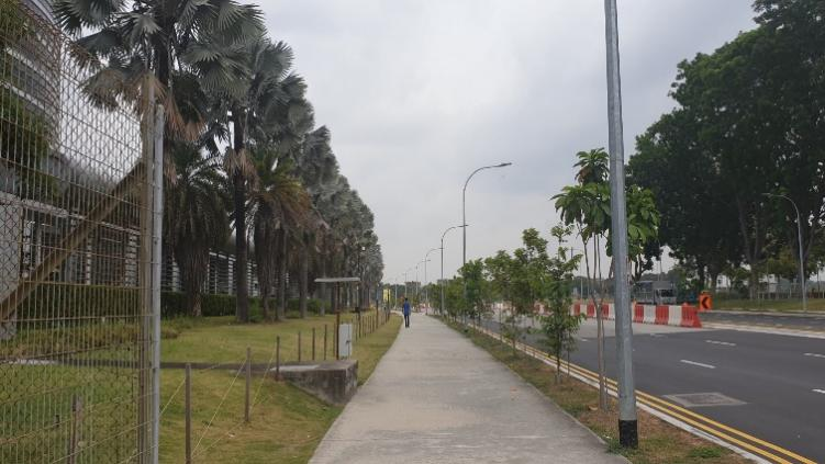 鄧國(guó)輝:邁向大自然中的城市