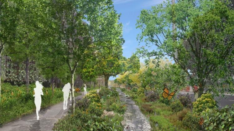 鄧國(guó)輝:邁向大自然中的城市