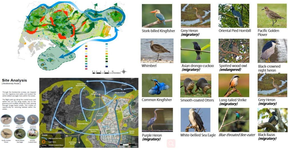 鄧國(guó)輝:邁向大自然中的城市