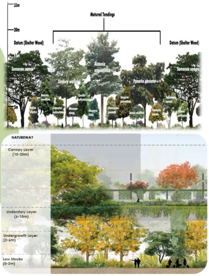 鄧國(guó)輝:邁向大自然中的城市