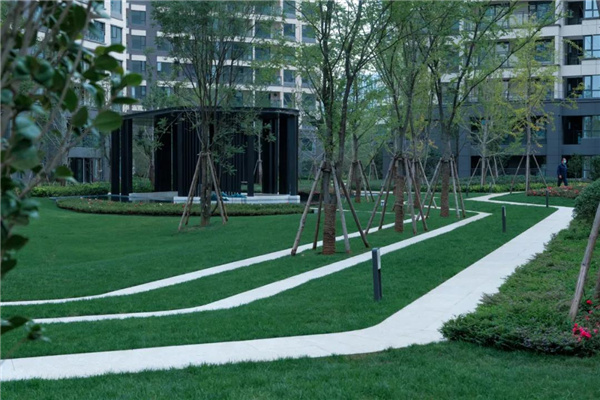 致社路景觀丨綠地香港·滇池國際健康城