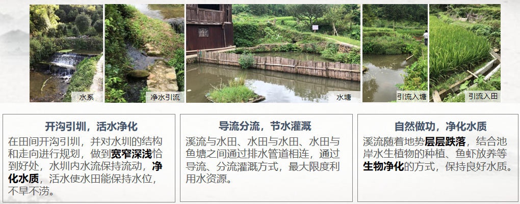 胡希軍：中國傳統村落生產智慧，從文化自信到文化輸出