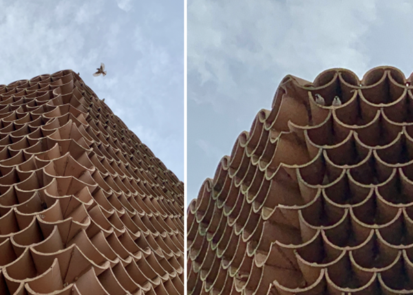 蔣曉飛：傳統(tǒng)村落空間重構及價值重塑