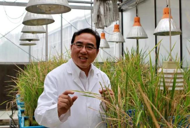 陳劍平院士解讀 《鄉村振興促進法》